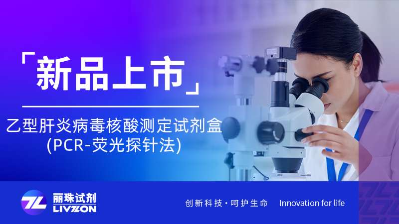 新品速報(bào) | 乙型肝炎病毒核酸測定試劑盒(PCR-熒光探針法)全新上市！